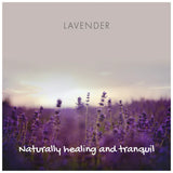 Friendly Soap Lavender Wash Bar