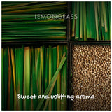 Friendly Soap Lemograss Wash Bar